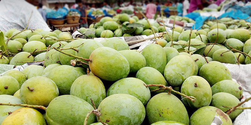জেনে নিন ! রাজশাহীর কোন আম কোন তারিখে কিনবেন !