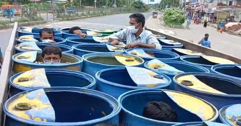 মাছের ড্রামে করে বাড়ি ফিরছিলেন তারা