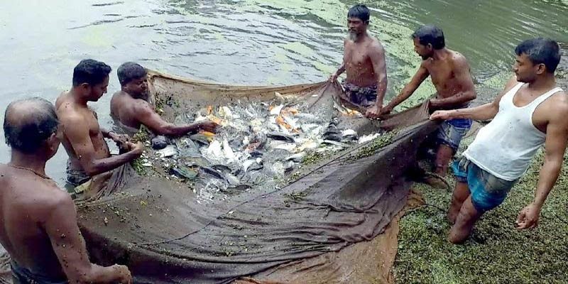 সমন্বিত খামারে সফল লক্ষ্মীপুরের দুই সহোদর
