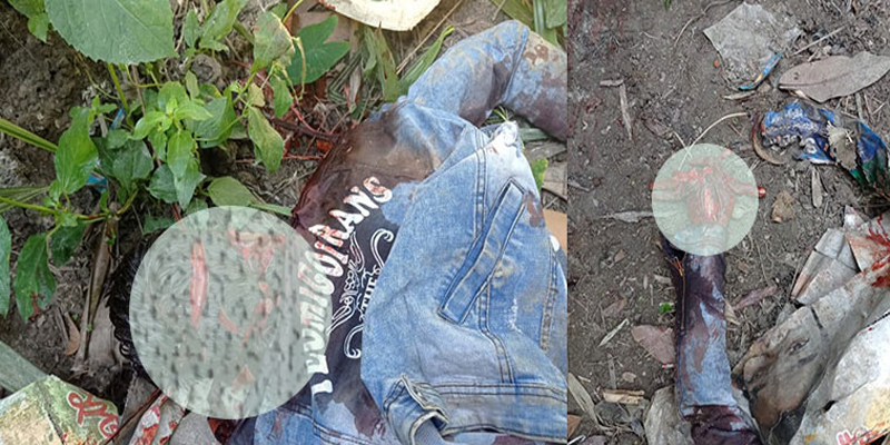 ইয়াবা দেখে ফেলায় যুবককে কুপিয়ে হত্যা