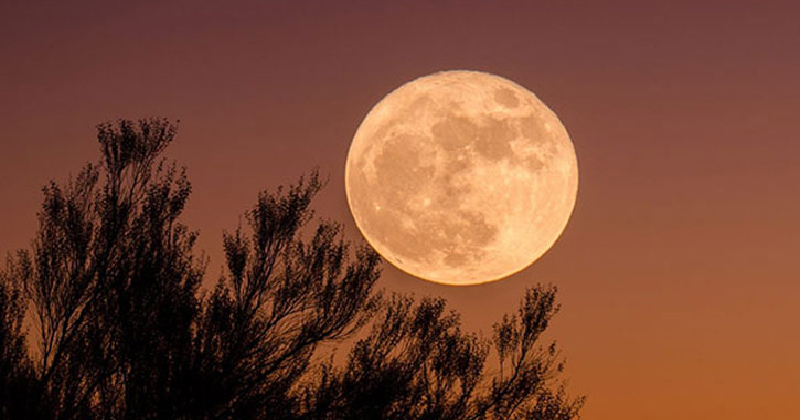 শত বছরের দীর্ঘতম চন্দ্রগ্রহণ আজ