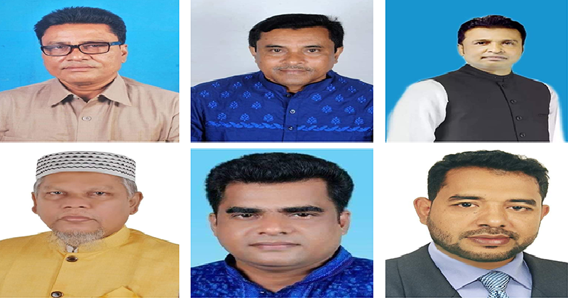 নোয়াখালীতে নৌকার ভরাডুবি, বিজয়ী হলেন যারা