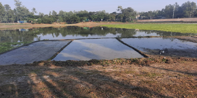 গাইবান্ধায় শিশুদহ বিল ভোগদখলে বাঁধা দিচ্ছেন ইউএনও