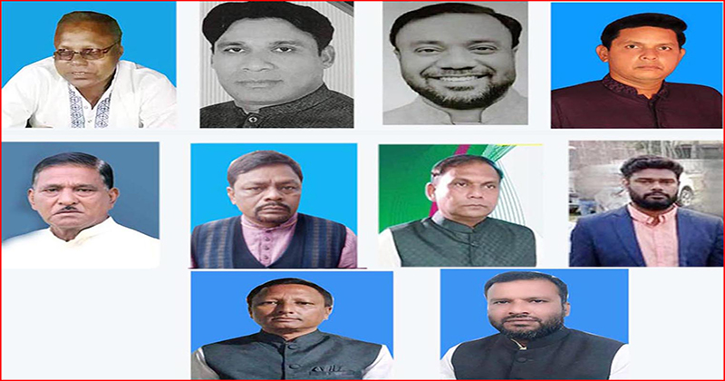 ডোমারে ইউপি নির্বাচনে নৌকার ভরাডুবি, আ’লীগ ৩, স্বতন্ত্র ৭ প্রার্থী  নির্বাচিত