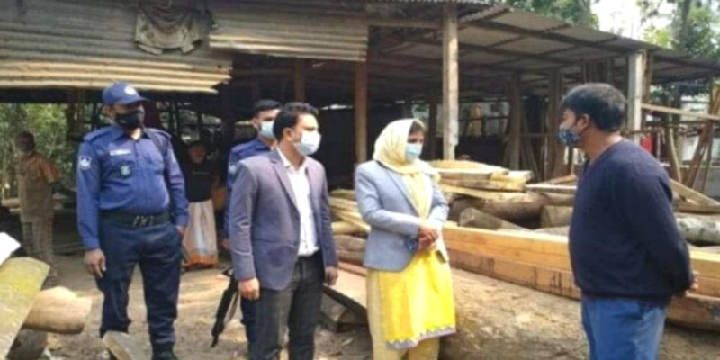 পলাশে অবৈধ করাতকলে মোবাইল কোর্ট