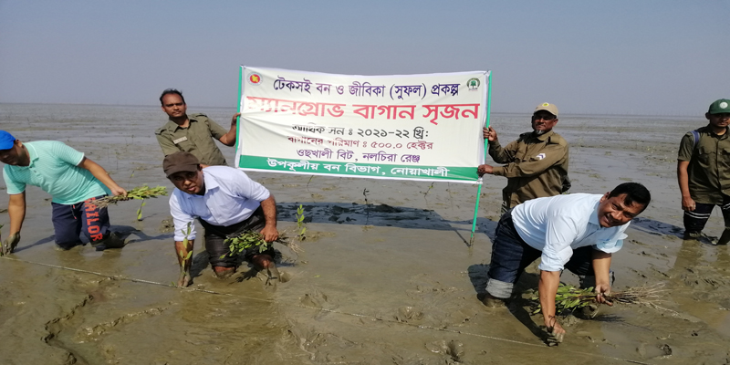 মেঘনার মোহনায় নতুন চরে সবুজ বেস্টনী সৃজনের লক্ষ্যে ম্যানগ্রোভ চারা রোপন