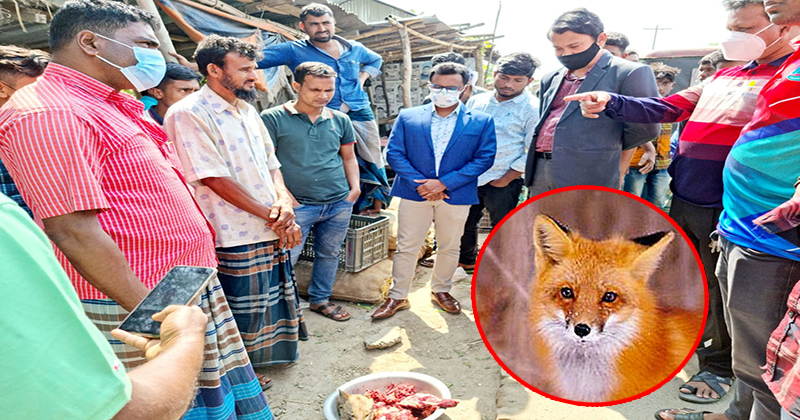 শিয়ালের মাংস বিক্রির সময় আটক, কারাদণ্ড ও জরিমানা