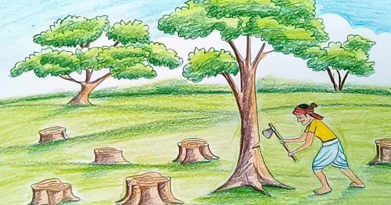 নিজের জমির গাছ কাটতে লাগবে সরকারের অনুমতি