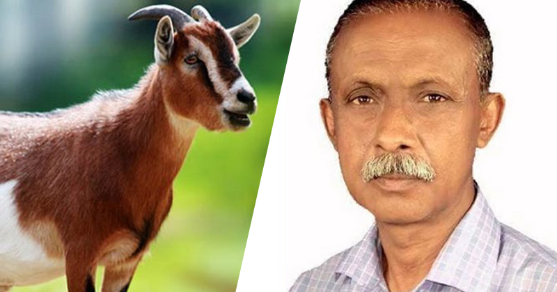ইউপি চেয়ারম্যানের বিরুদ্ধে ছাগল চুরির মামলা
