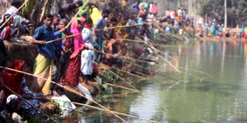 গাইবান্ধায় বিনামূল্যে মাছ শিকার করেছেন সহস্রাধিক নারী