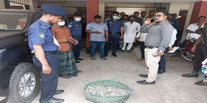 লক্ষ্মীপুরে নিষেধাজ্ঞা অমান্য করে মাছ বিক্রির দায়ে এক বছরের কারাদণ্ড