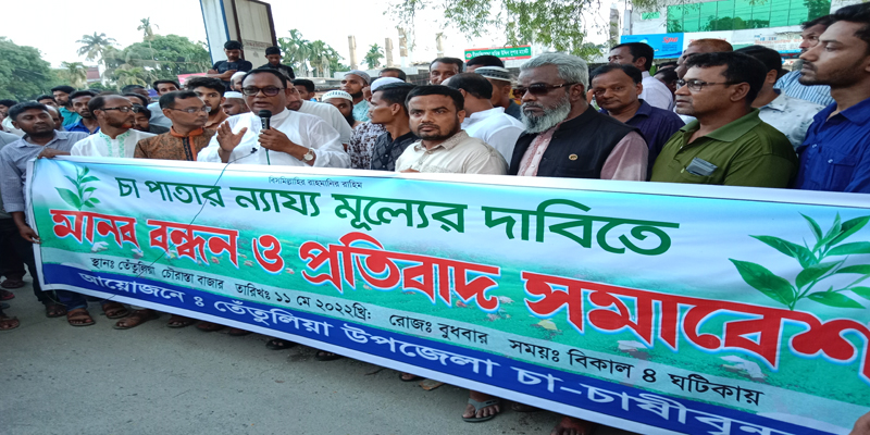তেঁতুলিয়ায় চা পাতার ন্যায্যমূল্যের দাবিতে চা চাষীদের মানববন্ধন