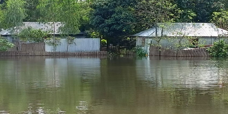 গাইবান্ধায় বন্যায় ক্ষতিগ্রস্ত ৬১ হাজার মানুষ