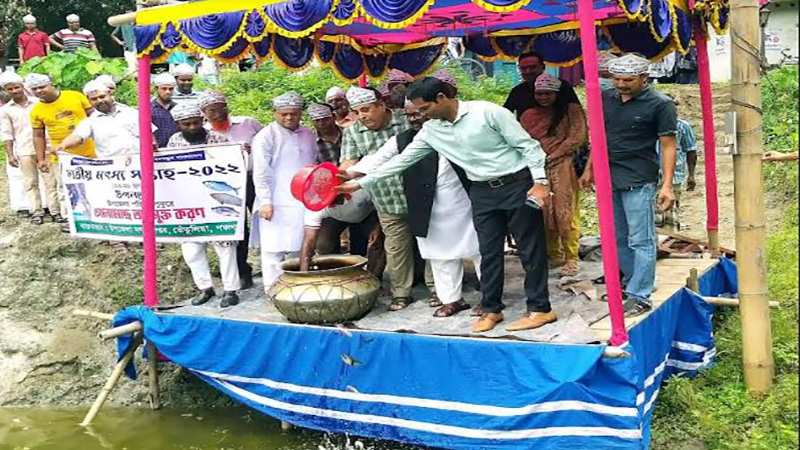 তেঁতুলিয়ায় জাতীয় মৎস্য সপ্তাহ পালিত