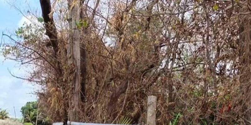 লক্ষীপুরের কমলনগরে ইটভাটার জরিমানা