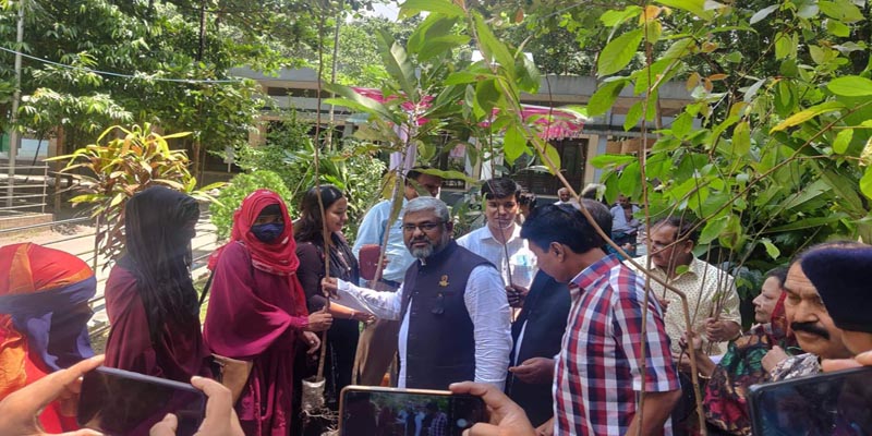 ডোমারে শেখ কামালের জন্ম বার্ষিকী উপলক্ষে গাছের চারা বিতরণ