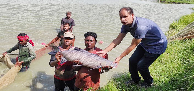 চাইনিজ কার্প মাছের রেনু উৎপাদনে অভাবনীয় সাফল্য