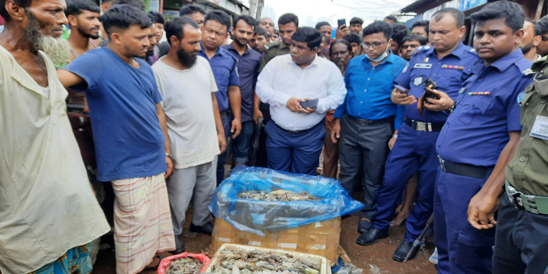 নোয়াখালীতে চিংড়িতে জেলি: দুই মাছ ব্যবসায়ীকে কারাদন্ড