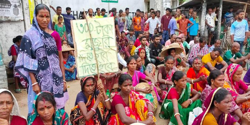 চা শ্রমিকদের মজুরি বাড়ল ২৫ টাকা, ধর্মঘট প্রত্যাহার