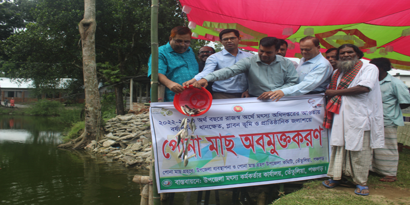 তেঁতুলিয়ায় ১৬ টি জলাশয়ে পোনা মাছ অবমুক্তকরণ
