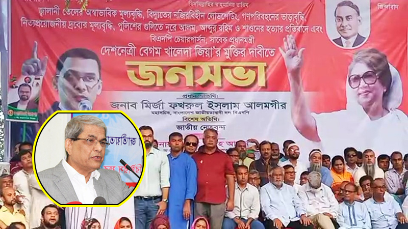 ৩৫ লাখ বিএনপি নেতাকর্মীর নামে মিথ্যে মামলা :  মির্জা ফখরুল
