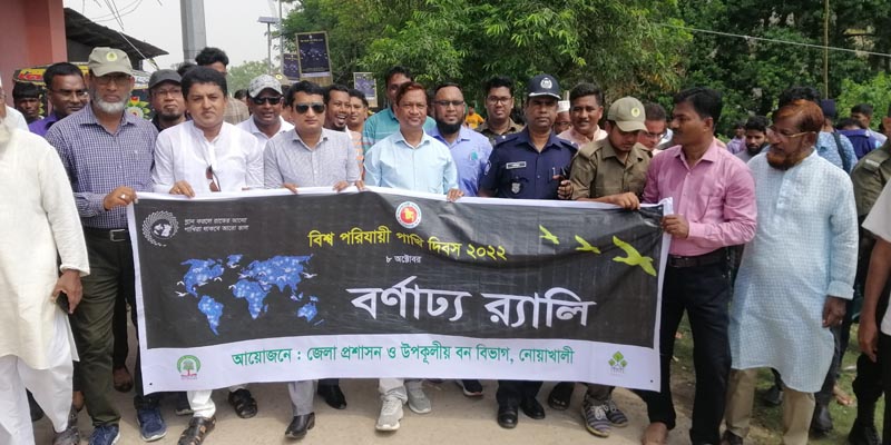 নিঝুমদ্বীপে পালিত হয়েছে বিশ্ব পরিযায়ী পাখি দিবস