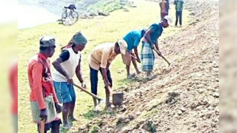 ধর্মপাশা ও মধ্যনগর ফসল রক্ষা বাঁধ নির্মাণে ধীর গতি