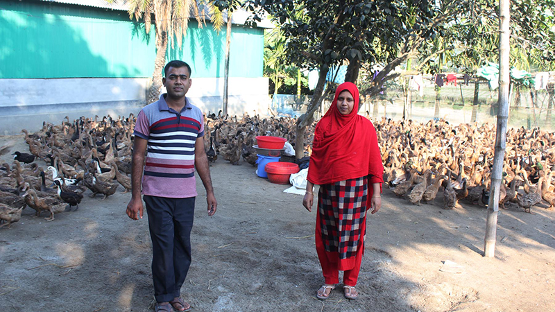ডোমারে হাঁস পালনে স্বাবলম্বী সফল দম্পতি জয়নার ও সোহানা