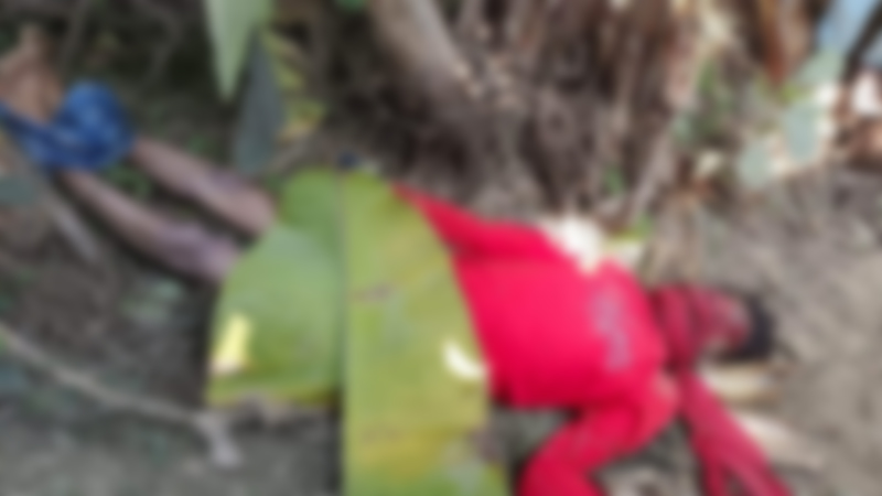 পলাশে কলাবাগান থেকে যুবকের রক্তাক্ত মরদেহ উদ্ধার