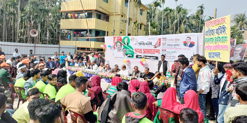 ‘গণতান্ত্রিক প্রক্রিয়াকে হত্যা করেছে আওয়ামী লীগ’