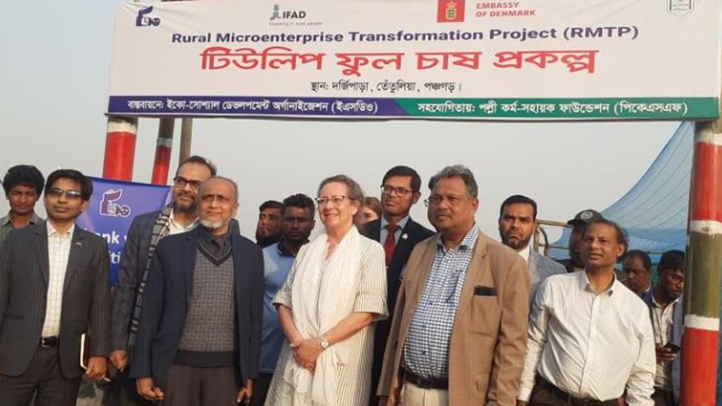 তেঁতুলিয়ায় ডেনমার্কের  রাষ্ট্রদূতের টিউলিপ বাগান পরিদর্শন