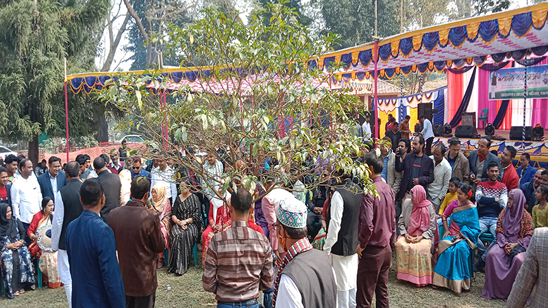 পঞ্চগড় জেলা আ. লীগের আয়োজনে তেতুলিয়ায় বার্ষিক বনভোজন