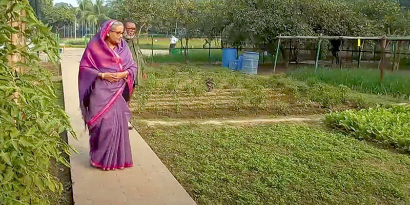 গণভবন যেন গ্রামের ‘গেরস্ত বাড়ি’