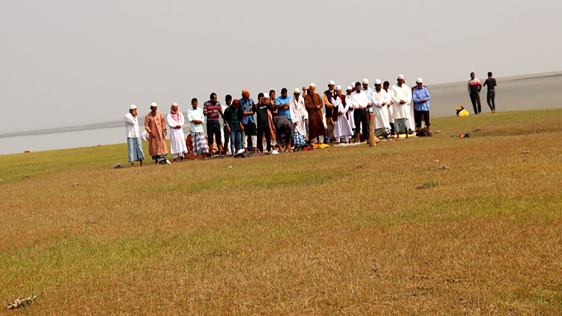 মেঘনার বুকে নতুন চর, স্বপ্ন সবুজ বিপ্লবের