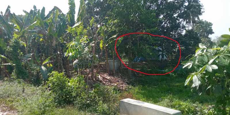 রুয়েটে অভ্যান্তরে মাদকের রমরমা কারবার চালাচ্ছে পলাশ!