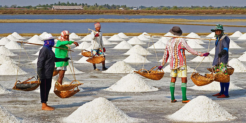 ৬২ বছরের মধ্যে সর্বোচ্চ লবণ উৎপাদন