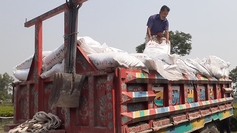 তেঁতুলিয়ায়  ২৬৩ বস্তা সারসহ সাবেক ইউপি চেয়ারম্যান আটক