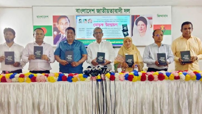 বিএনপি বিদেশিদের কাছে যায় না, তারা ডাকে : মির্জা ফখরুল