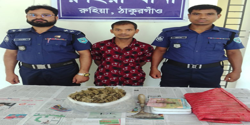 রুহিয়ায় ১ কেজি গাঁজাসহ আটক ১