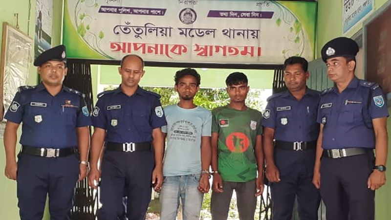 তেঁতুলিয়ায় চোরাই গরু উদ্ধার দুই ভাই গ্রেফতার