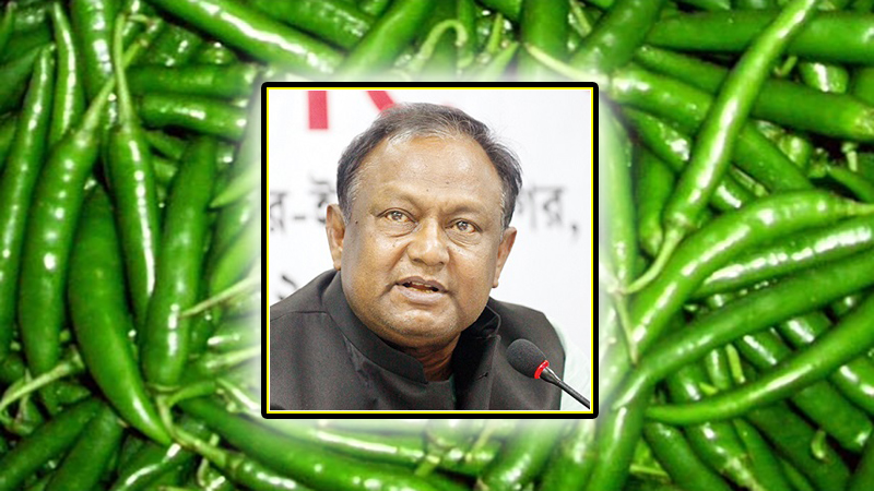কাঁচা মরিচ পচে গেলে আমি কী করব?