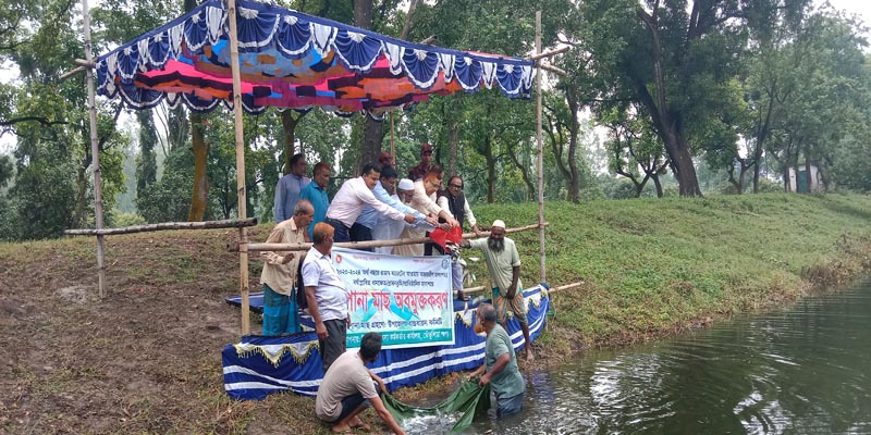 তেঁতুলিয়ায় মাছের পোনা অবমুক্তকরণ