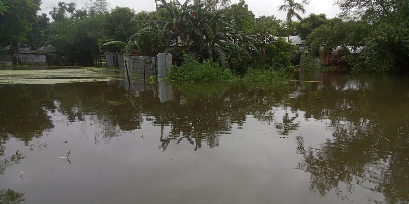 ডোমারে টানা ৫দিনের বৃষ্টিতে ৩০টি পরিবার পানি বন্দি