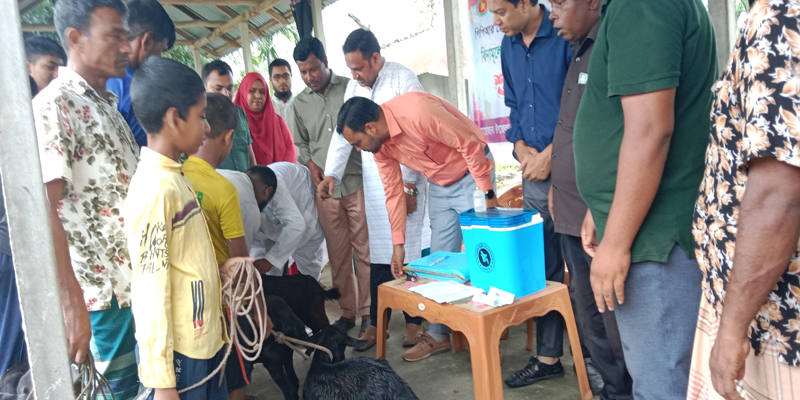 তেঁতুলিয়ায় বিনামূল্যে পি পি আর টিকা বিতরণ