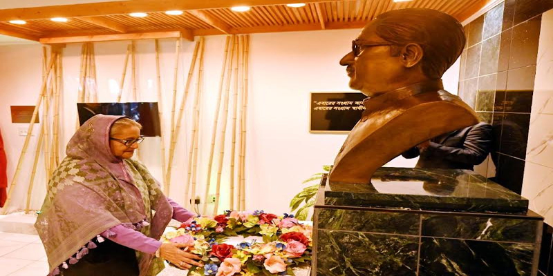 দেশের ভাবমূর্তি আরো জোরদার করতে কাজ করুন: প্রধানমন্ত্রী
