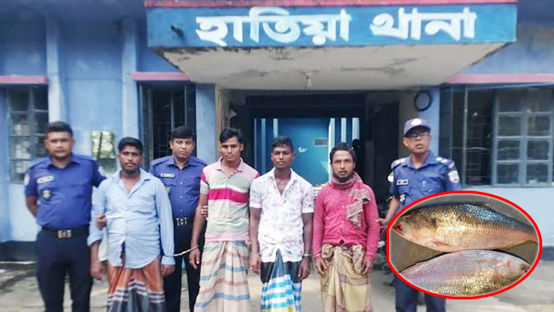 নোয়াখালীতে ইলিশ ধরায় ৪ জেলে আটক