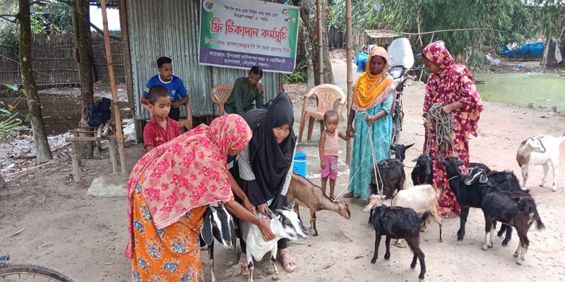 তেঁতুলিয়ায় বুড়াবুড়িতে  বিনামূল্যে পি পি আর টিকা প্রদান
