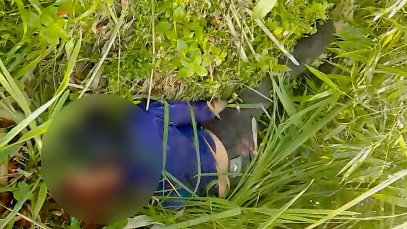 রুহিয়ায় ধানক্ষেত থেকে অটো চালকের গলা কাটা লাশ উদ্ধার