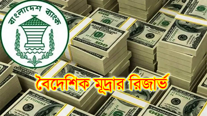 দেখে নিন দেশের প্রকৃত রিজার্ভ কত !