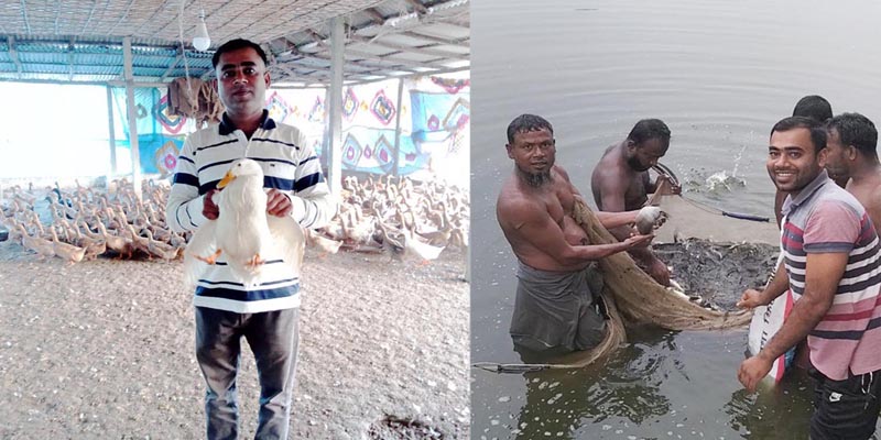 ডোমারে জয়নাল আবেদীন হাঁস, মুরগি ও মাছ চাষে সফলতা অর্জন
